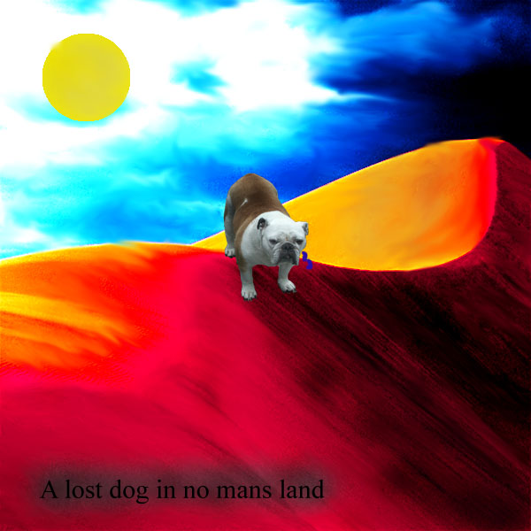 lostdogcopy.jpg